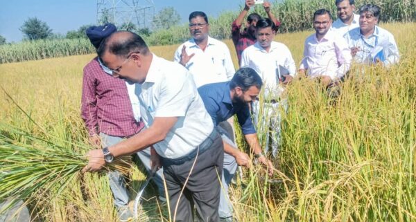 डीएम कर्मेंद्र सिंह ने ग्राम सहदेवपुर सहवाजपुर में किसान के खेत में पहुॅचकर की क्रॉप कटिंग